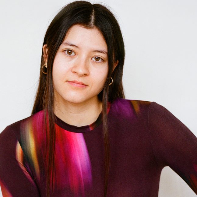 a headshot of curator Holly Chang, a woman with long dark hair wearing a purple shirt