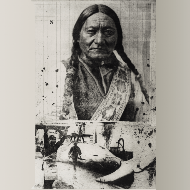 a black and white photo of Hunkpapa Lakota leader Sitting Bull from the shoulders-up. Another black and white photo below shows men around a dead whal
